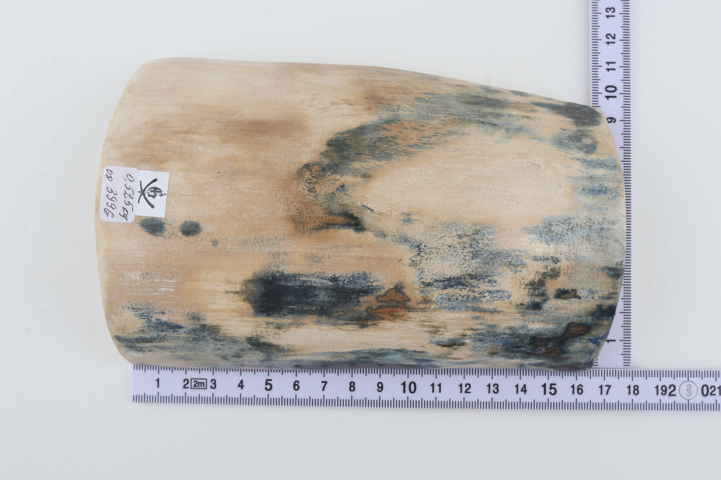 Blue-creme mammoth bark
