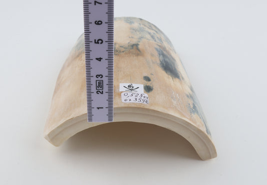 White-blue mammoth bark