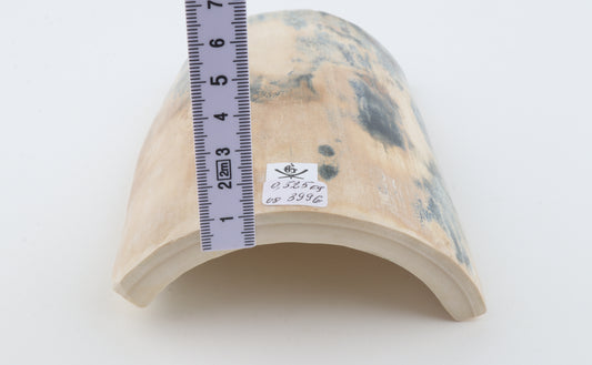 Blue-creme mammoth bark