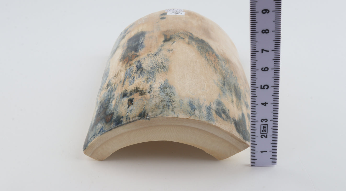 White-blue mammoth bark