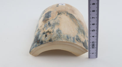 White-blue mammoth bark