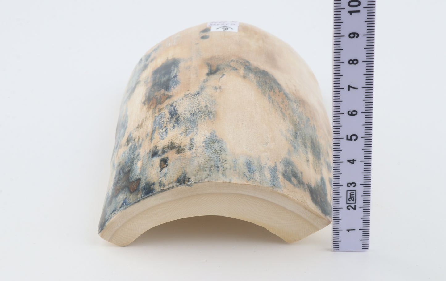 Blue-creme mammoth bark
