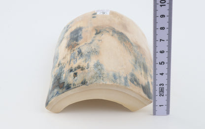 Blue-creme mammoth bark