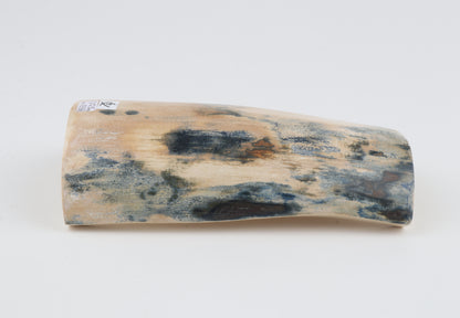 White-blue mammoth bark
