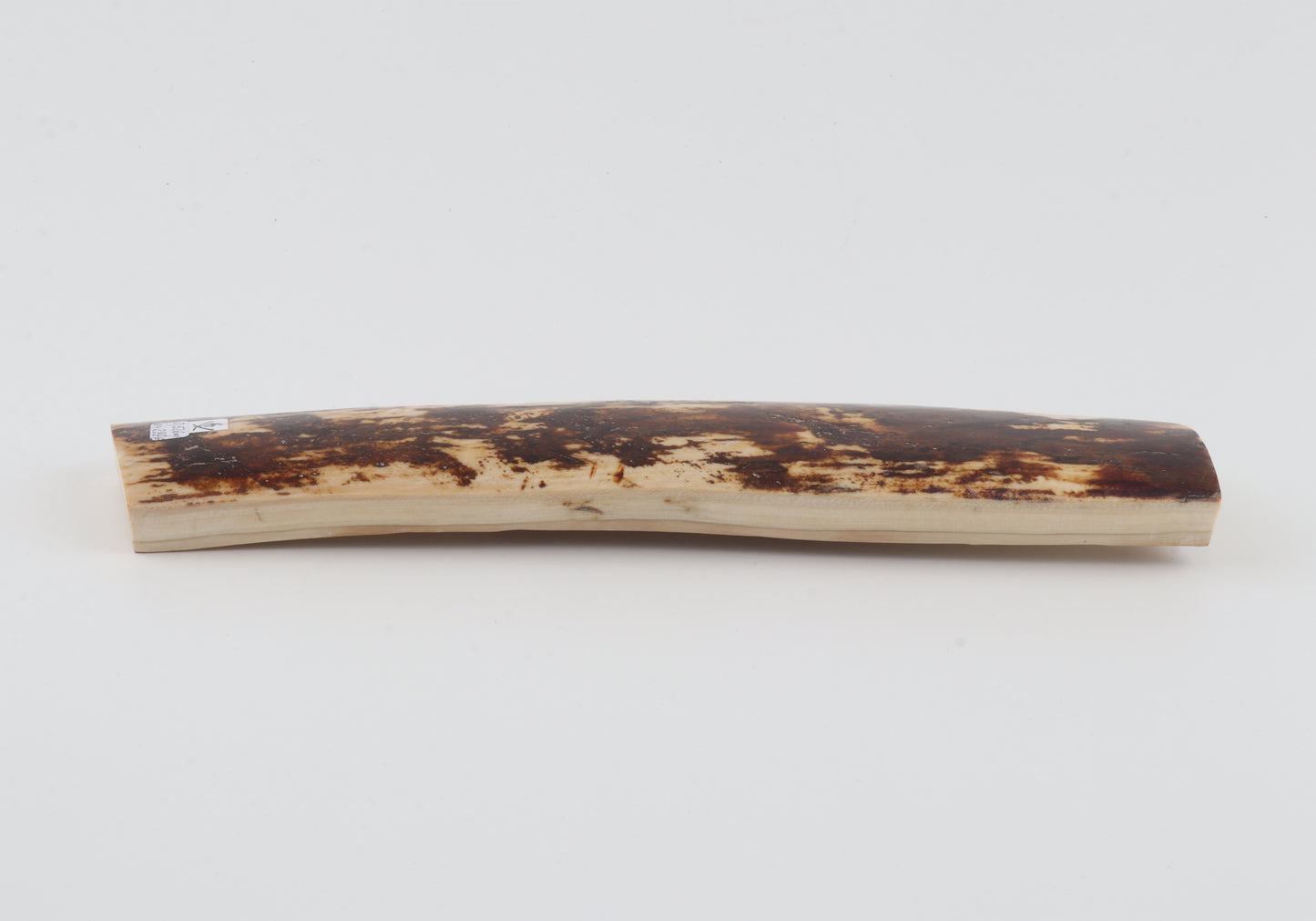 White-brown mammoth bark