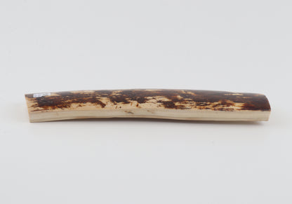 White-brown mammoth bark