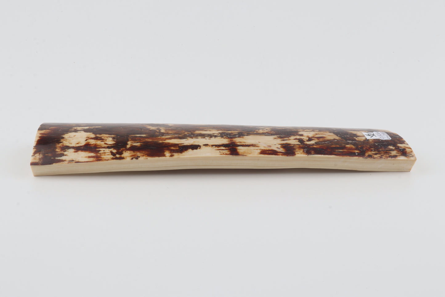 White-brown mammoth bark