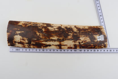 White-brown mammoth bark