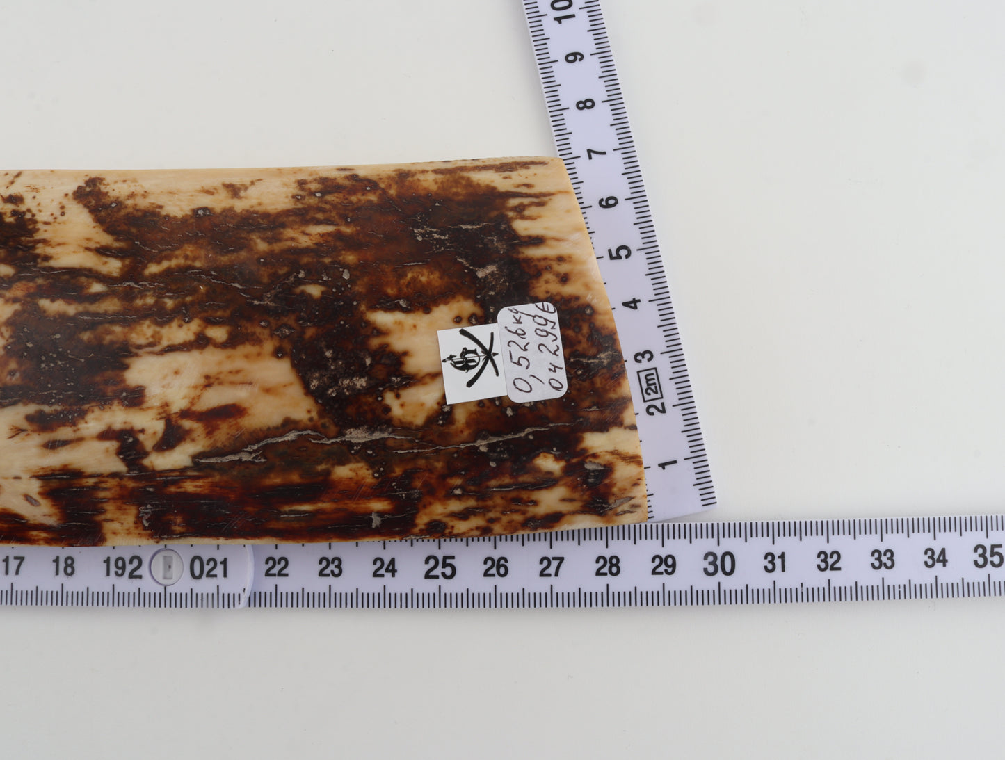 White-brown mammoth bark