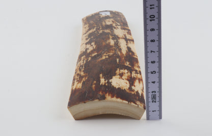 White-brown mammoth bark