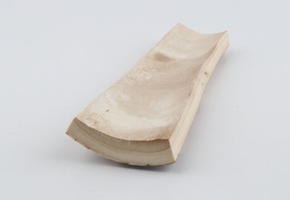 White-brown mammoth bark