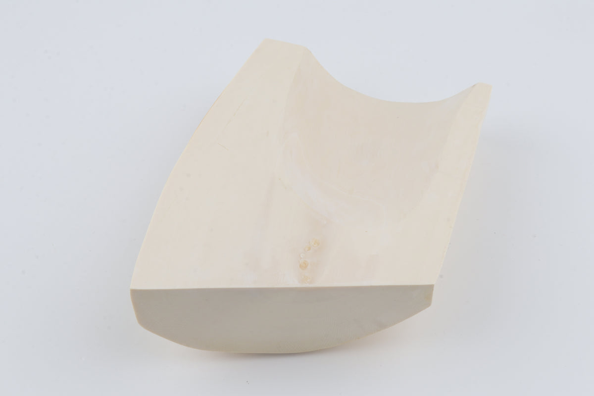 White mammoth ivory segment