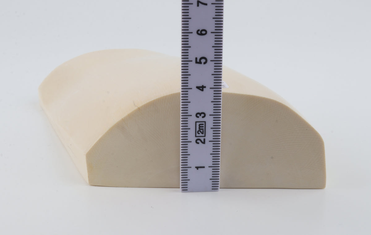 White mammoth ivory segment