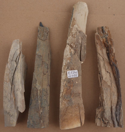 Untreated mammoth ivory pieces