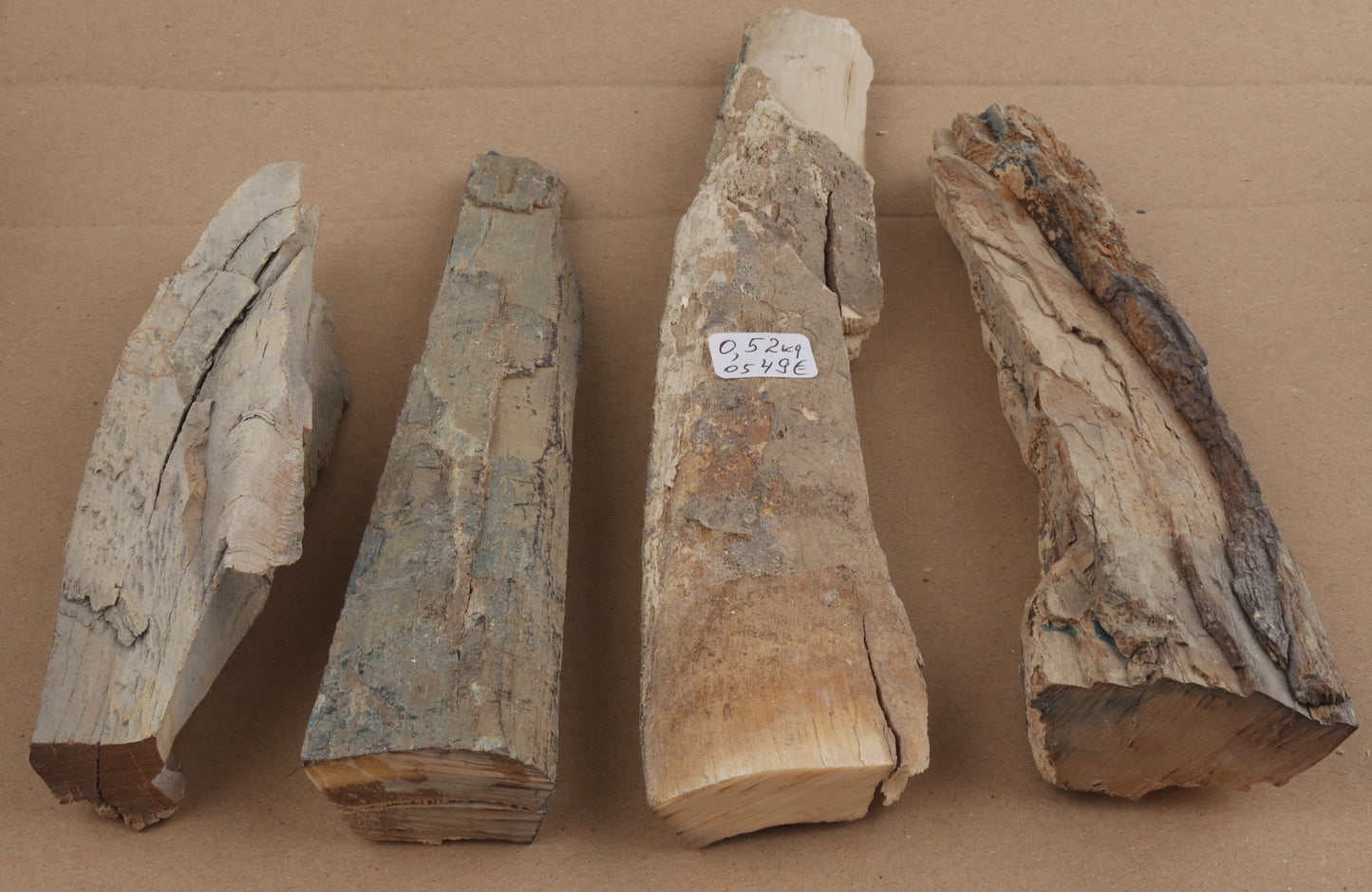Untreated mammoth ivory pieces