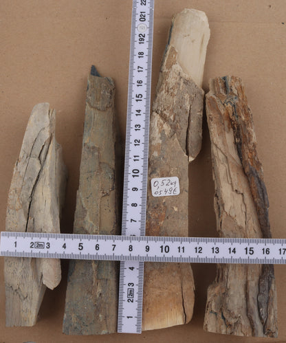Untreated mammoth ivory pieces