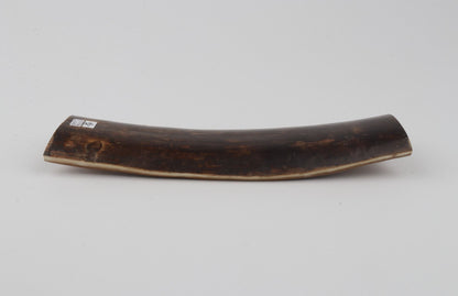 Brown mammoth bark