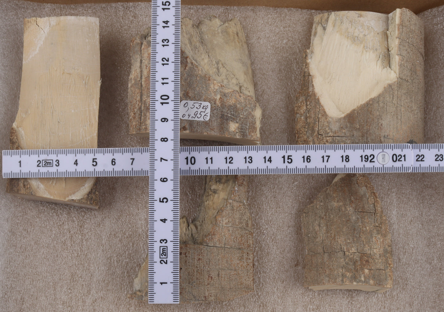 Raw mammoth ivory pieces