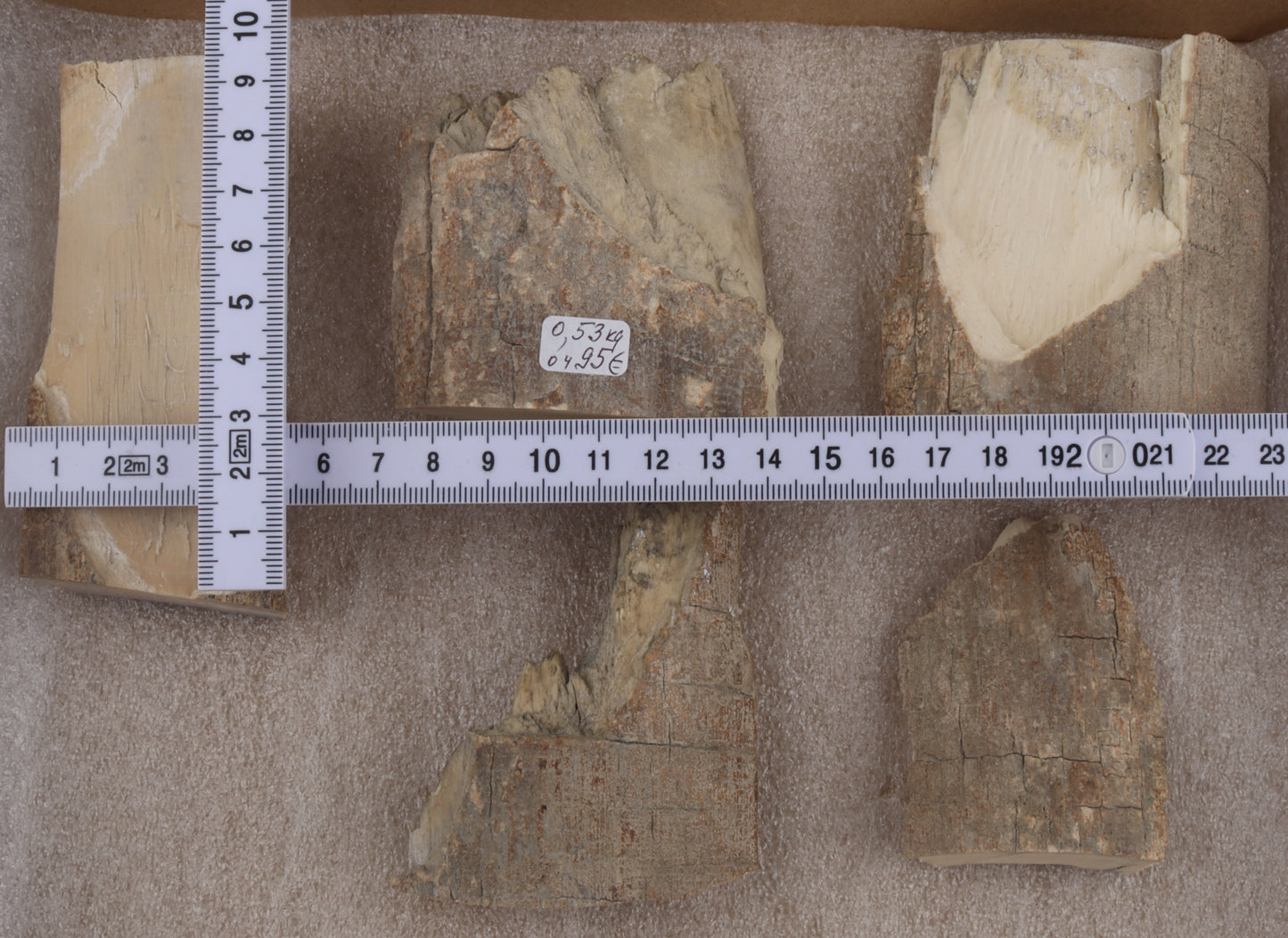 Raw mammoth ivory pieces