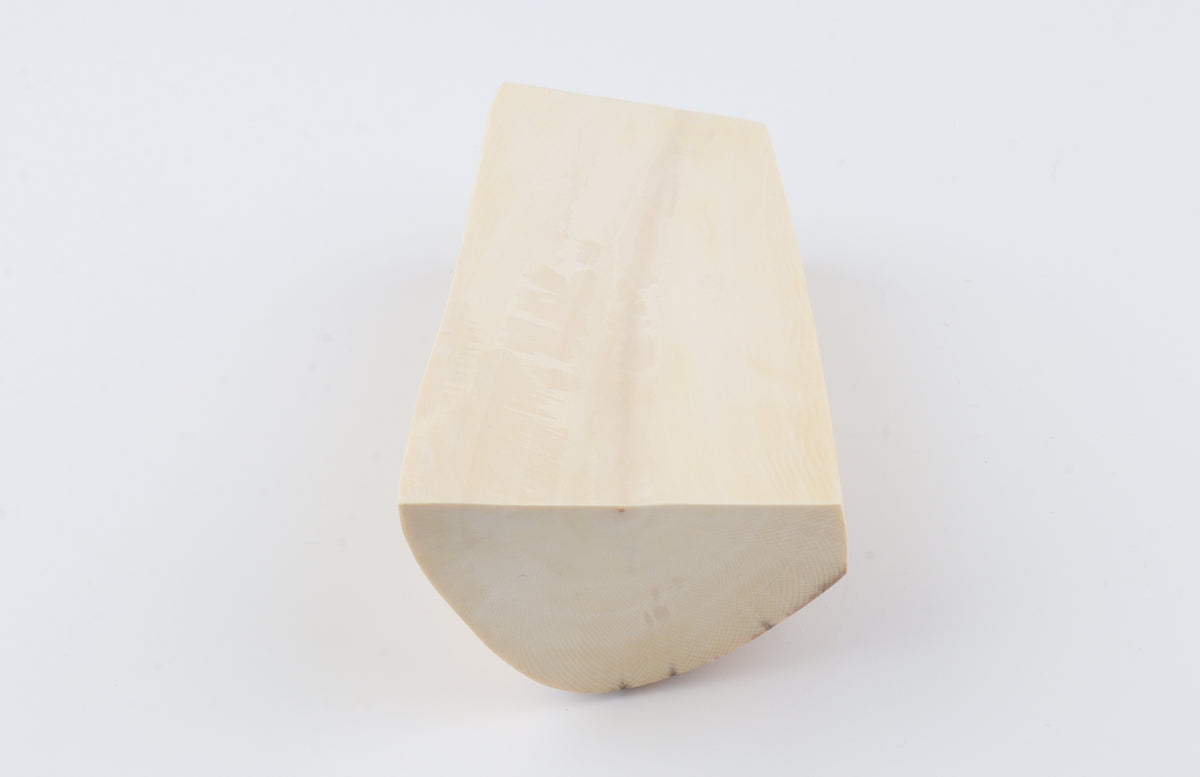 Natural mammoth ivory segment