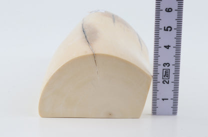 Natural mammoth ivory segment