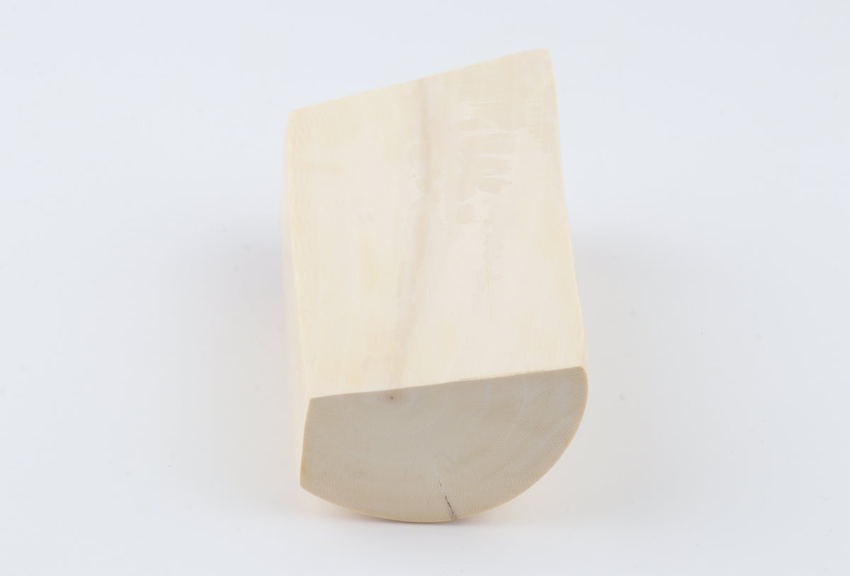 Natural mammoth ivory segment