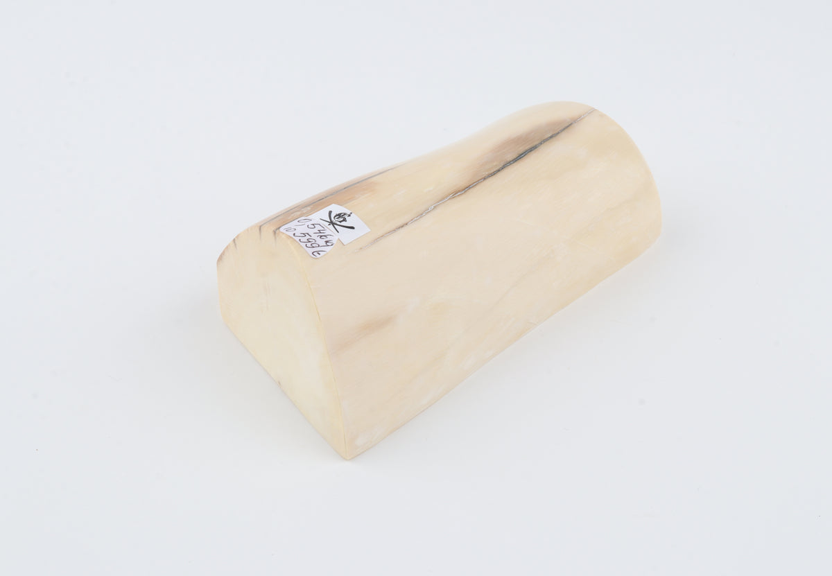Natural mammoth ivory segment