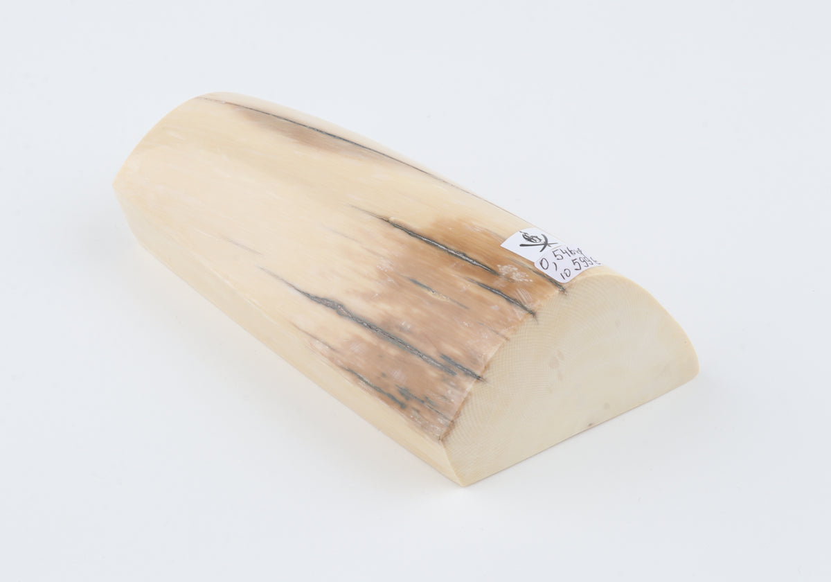 Natural mammoth ivory segment