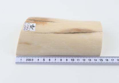 Natural mammoth ivory segment