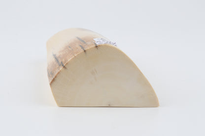Natural mammoth ivory segment