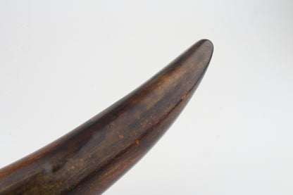 Restored mammoth tusk tip