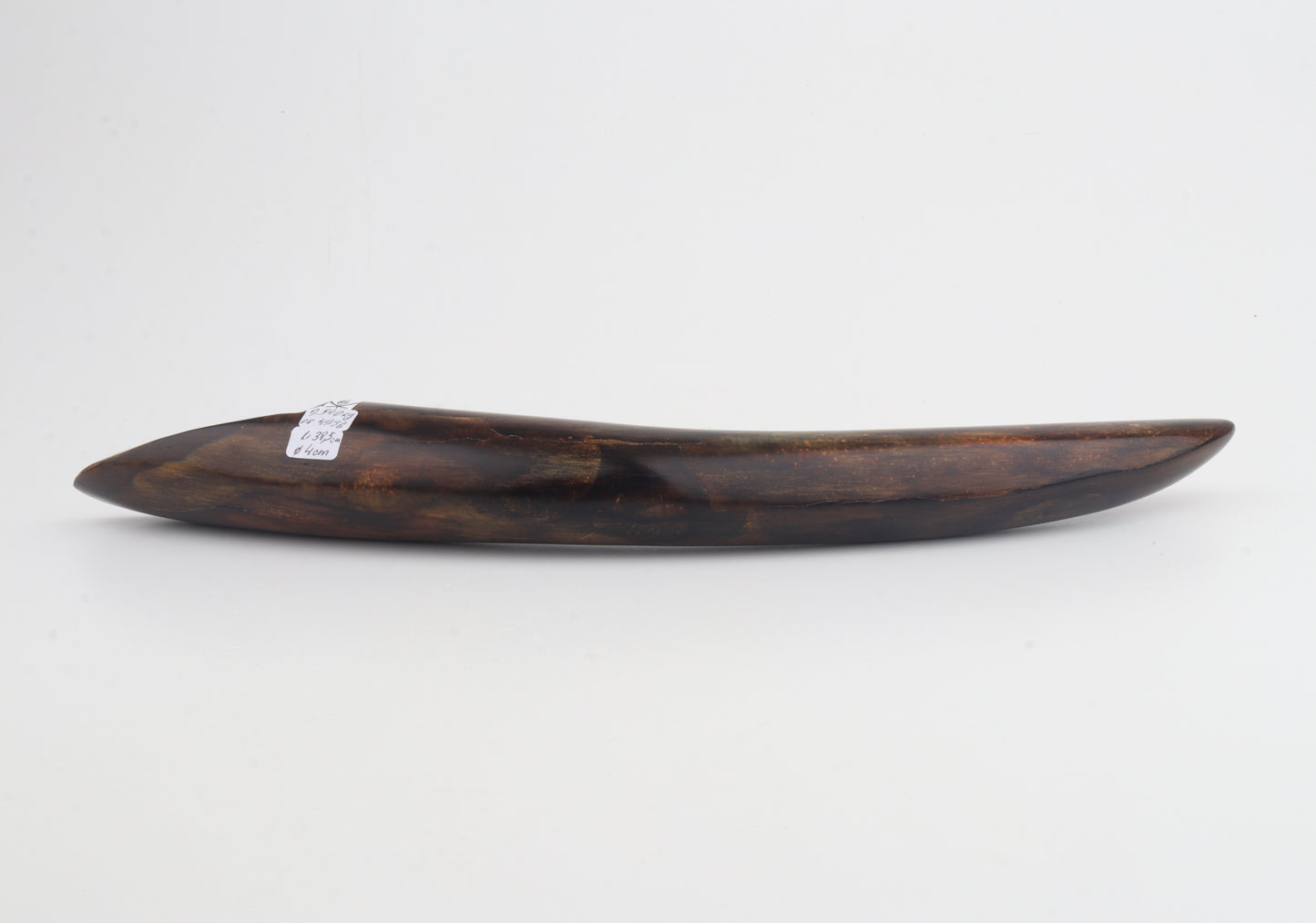 Restored mammoth tusk tip