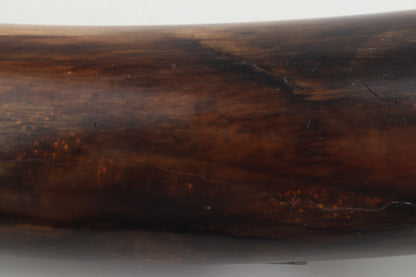 Restored mammoth tusk tip