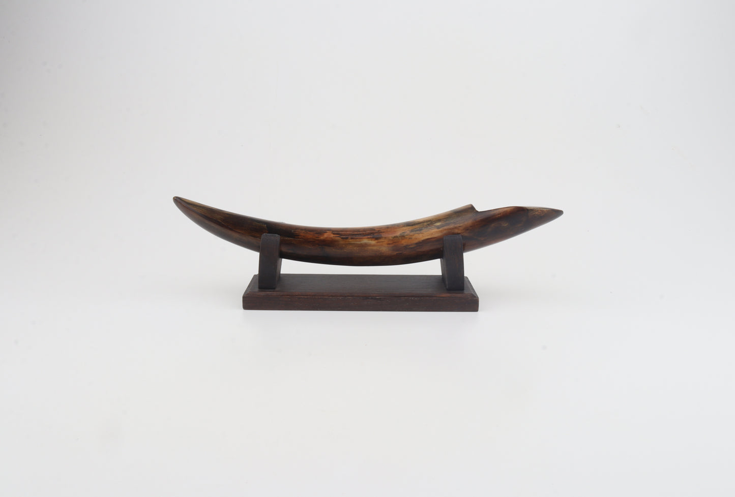 Restored mammoth tusk tip