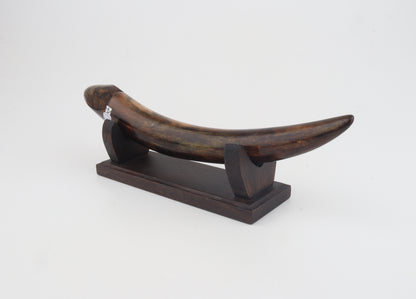 Restored mammoth tusk tip
