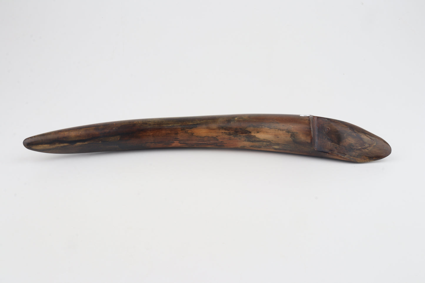 Restored mammoth tusk tip