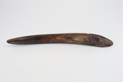 Restored mammoth tusk tip