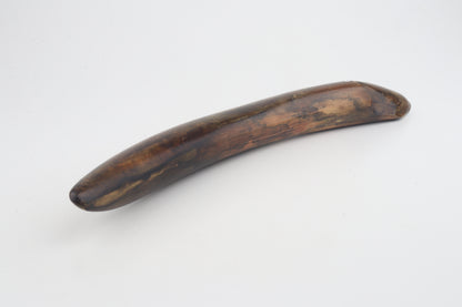 Restored mammoth tusk tip