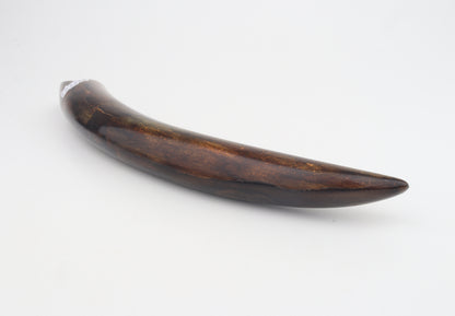 Restored mammoth tusk tip