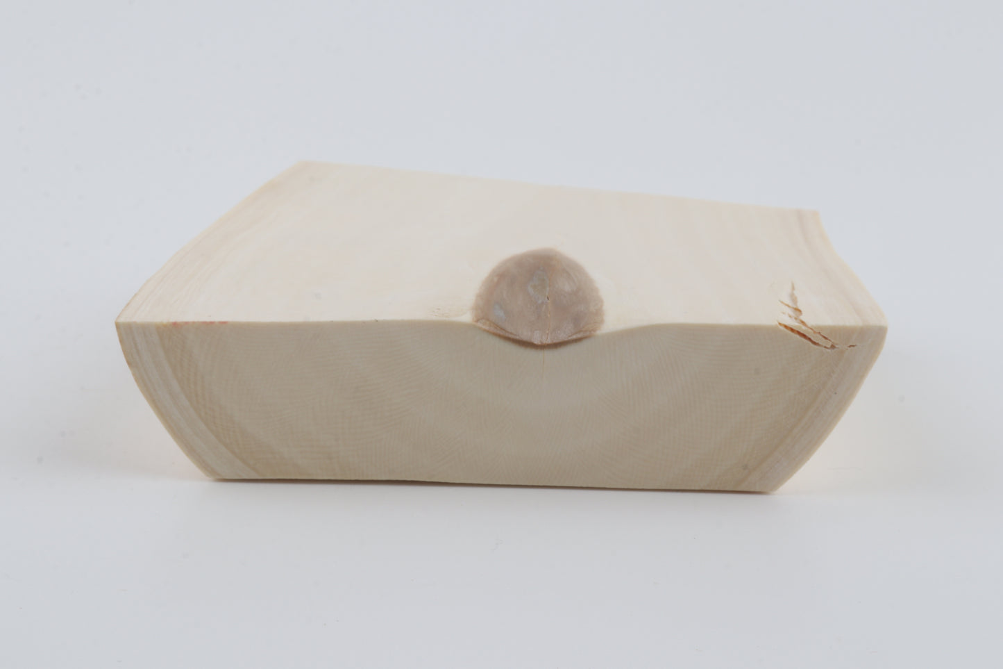 White mammoth ivory segment