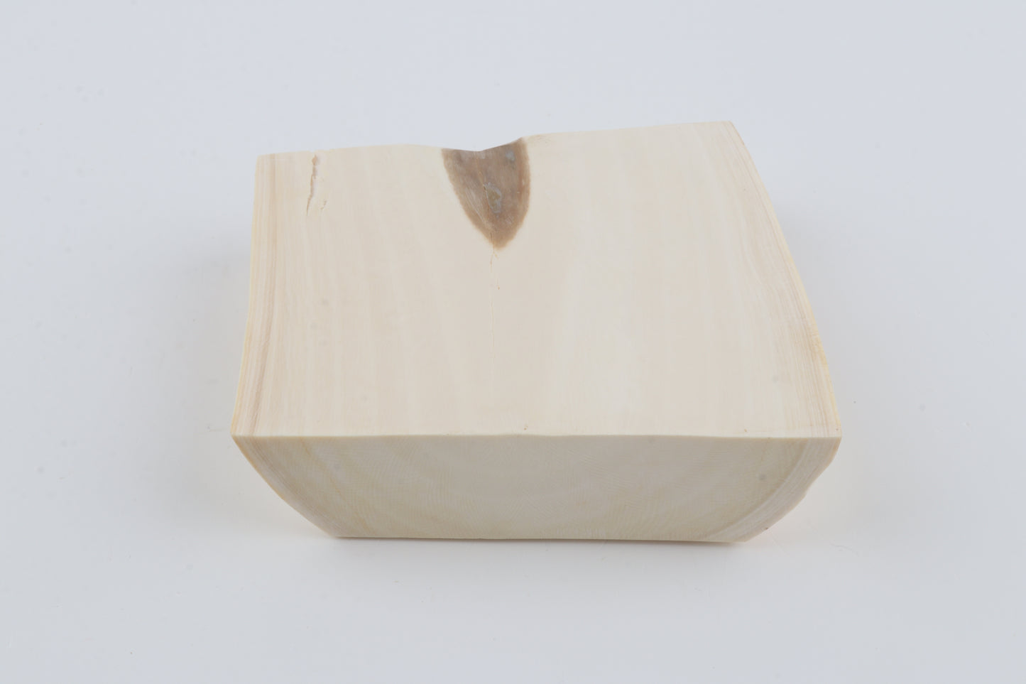 White mammoth ivory segment