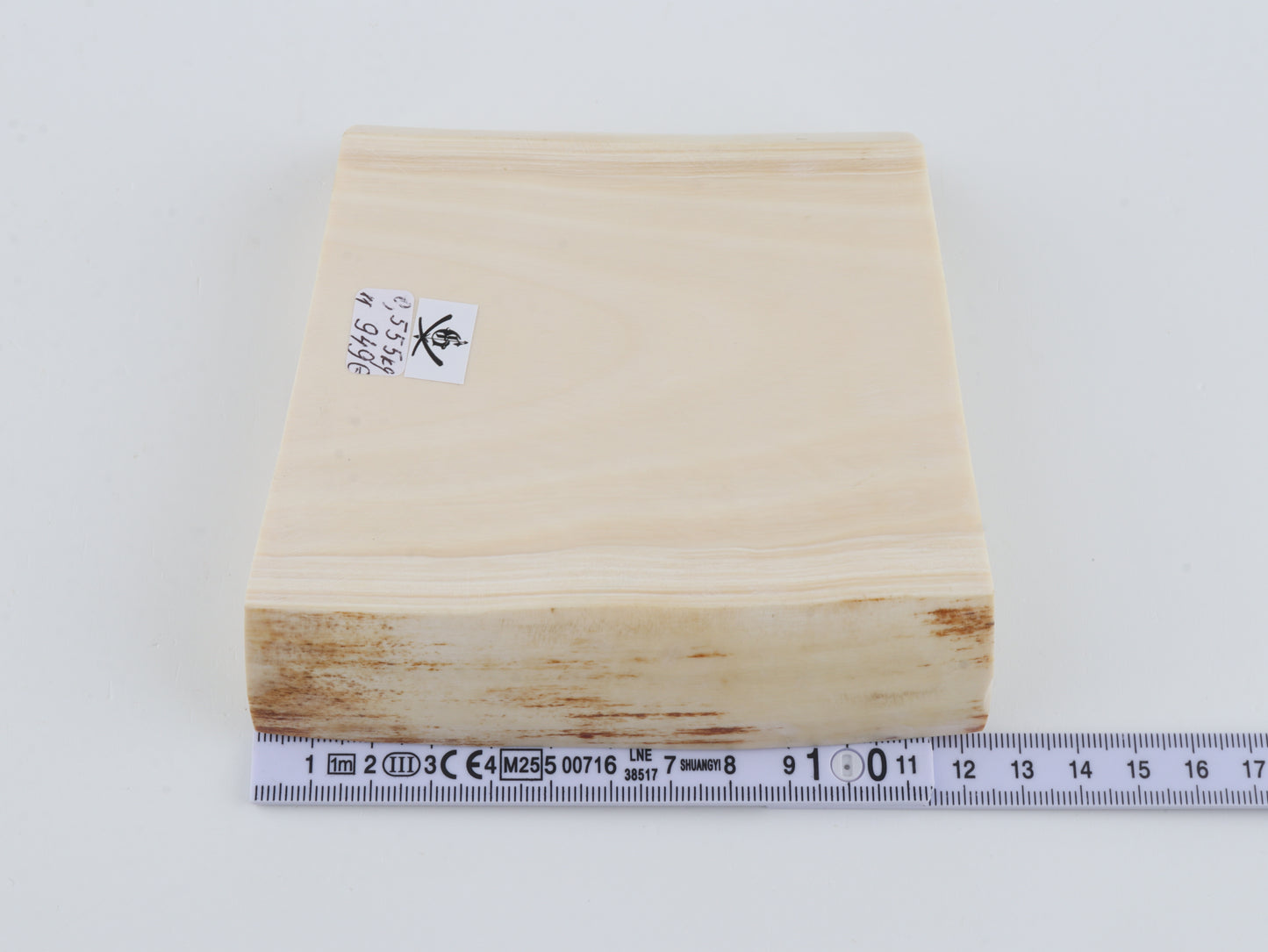 White mammoth ivory segment