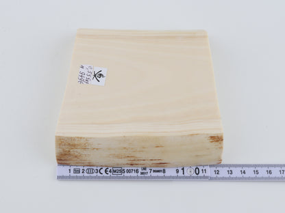 White mammoth ivory segment