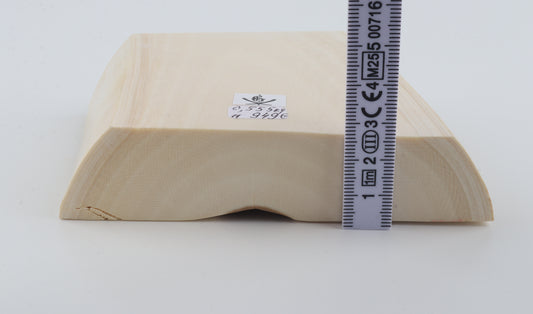 White mammoth ivory segment