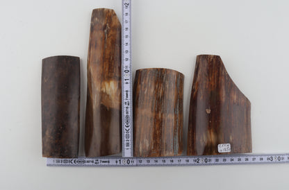 Beige-brown mammoth bark pieces