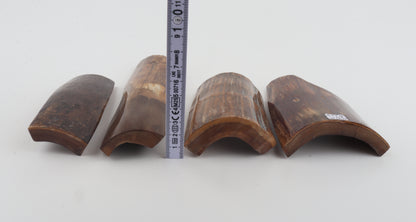 Beige-brown mammoth bark pieces