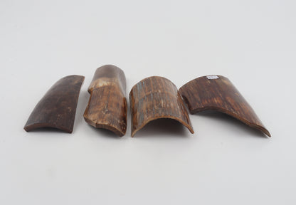 Beige-brown mammoth bark pieces