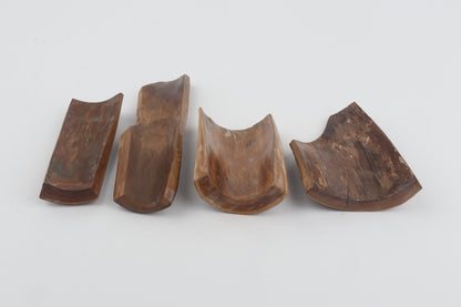 Beige-brown mammoth bark pieces