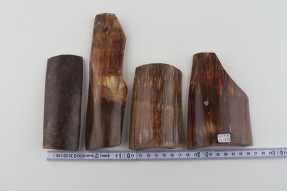 Beige-brown mammoth bark pieces