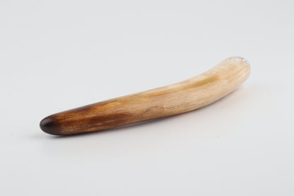 Restored woolly mammoth tusk tip